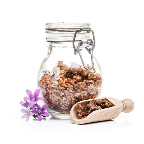article-image-actifs-plantes-propolis