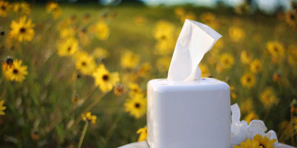 article-image-slider-allergies-spring-02