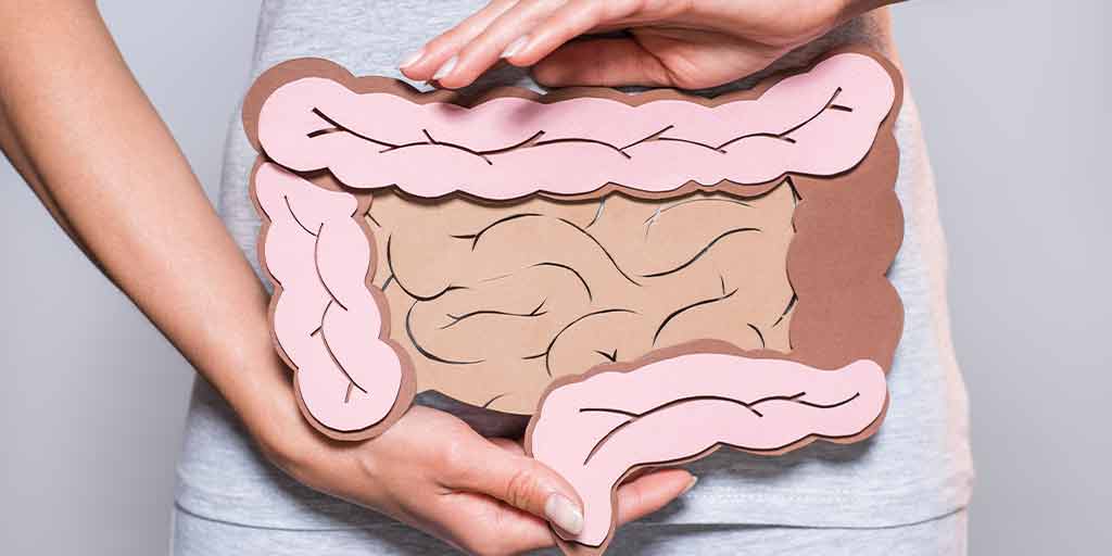 article-image-slider-microbiote