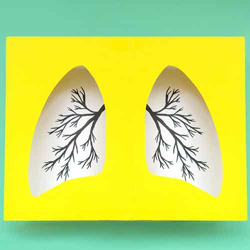 article-septembre-image-actifs-lungs