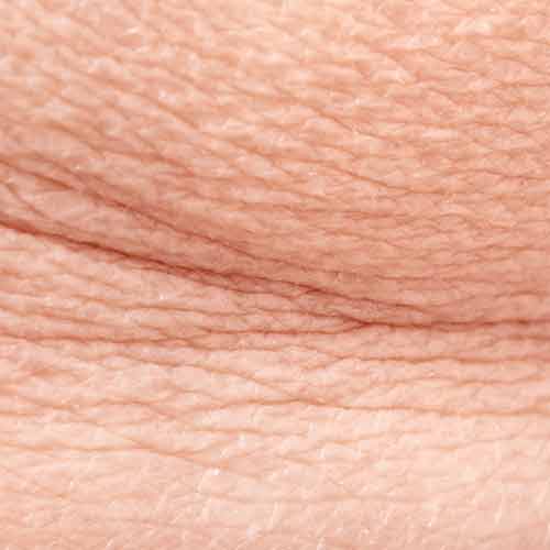 article-septembre-image-actifs-peau
